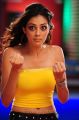 Srimannarayana Parvathi Melton Hot Pics in Yellow Dress