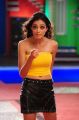 Parvathi Melton Hot in Yellow Sleeveless Top & Black Mini Dress