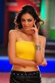 Parvathi Melton Hot Pics in Yellow Dress @ Srimannarayana