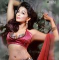 Tamil Actress Parvathy Nair Hot Photo Shoot Gallery