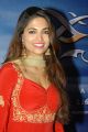 Parvathy Omanakuttan at David Billa Audio Launch Function