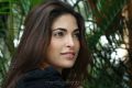 Billa 2 Heroine Parvathy Omanakuttan in Black Dress Stills