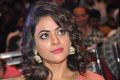 Actress Shruti Sodhi @ Patas Movie Audio Launch Stills