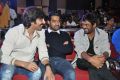 Ravi Teja, NTR, Puri Jagannadh @ Patas Movie Audio Launch Stills