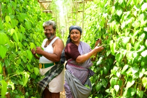 Rajkiran, Radhika Sarathkumar in Pattathu Arasan Movie HD Images