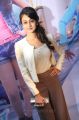 Actress Aishwarya Arjun at Pattathu Yaanai Audio Launch Stills