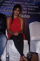 Actress Manisha Yadav @ Pattaya Kelappanum Pandiya Press Meet Stills