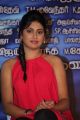 Actress Manisha Yadav @ Pattaya Kelappanum Pandiya Press Meet Stills