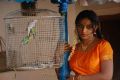 Actress Akshaya in Pattikattu Mappillai Movie Stills