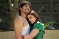 Pattikattu Mappillai Movie Stills