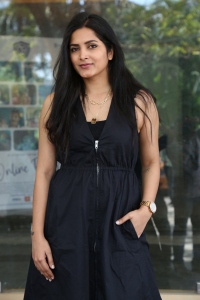 Actress Pavani Gangireddy Images @ Save The Tigers Press Meet
