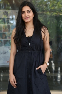 Actress Pavani Gangireddy Images @ Save The Tigers Press Meet