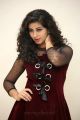 Actress Pavani Images @ Moodu Puvvulu Aaru Kayalu Audio Launch