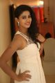 Telugu Heroine Pavani Photos