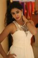 Telugu Heroine Pavani Photos