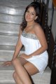 Pavani Reddy Hot Spicy Pics