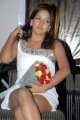 Pavani Reddy at Dream Movie Trailer Launch