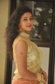 Actress Pavani Reddy Hot in Half Saree Photos