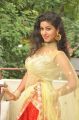 Campus Ampasayya Movie Actress Pavani Reddy Hot Saree Photos