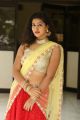 Actress Pavani Reddy Hot Saree Photos @ Campus Ampasayya Movie Press Meet