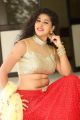 Actress Pavani Reddy Hot Half Saree Photos