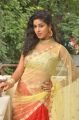 Actress Pavani Hot Saree Photos @ Campus Ampasayya Press Meet