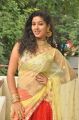 Campus Ampasayya Movie Actress Pavani Reddy Hot Saree Photos