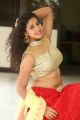 Actress Pavani Reddy Hot in Half Saree Photos