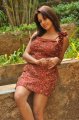 Pavani Reddy Hot Photo Shoot Stills