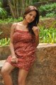 Pavani Reddy Hot Photo Shoot Stills