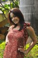 Pavani Reddy Hot Photo Shoot Stills