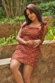 Pavani Reddy Hot Photo Shoot Stills