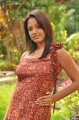 Pavani Reddy Hot Photo Shoot Stills