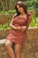 Pavani Reddy Hot Photo Shoot Stills