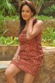 Pavani Reddy Hot Photo Shoot Stills