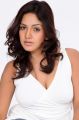 Pavani Reddy in White Shirt Hot Photoshoot Pictures
