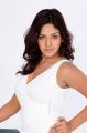 Telugu Actress Pavani Reddy Hot Photoshoot Pictures
