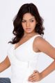 Pavani Reddy in White Dress Hot Photoshoot Pictures