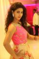 Telugu Actress Pavani Stills @ Trendz Exhibition & Sale