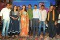 Pavithra Movie Audio Lauinch Photos