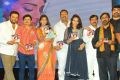 Pavithra Movie Audio Release Stills