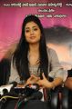 Actress Shriya Saran at Pavithra Movie Press Meet Photos