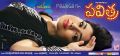 Pavithra Movie Actress Shriya Saran Hot Wallpapers