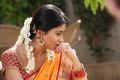 Actress Shriya Saran in Pavitra Telugu Movie Stills