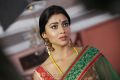 Actress Shriya in Pavitra Telugu Movie Stills