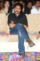 Pawan Kalyan @ Panja Audio Release Stills