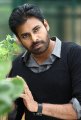 Pawan Kalyan Stills in Panjaa