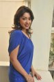 Payal Ghosh Cute Stills