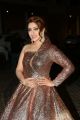 Actress Payal Ghosh @ 65th Jio Filmfare Awards South 2018 Photos