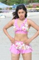 Payal Ghosh Hot Bikini Stills